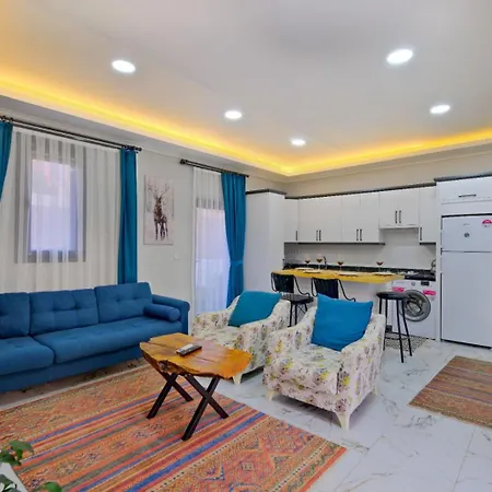 Oludeniz 2 Bedroom 4387 빌라 *